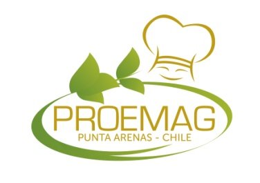 logo proemag